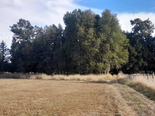 #3 - Parcela para Venta en Freire - IX - 3
