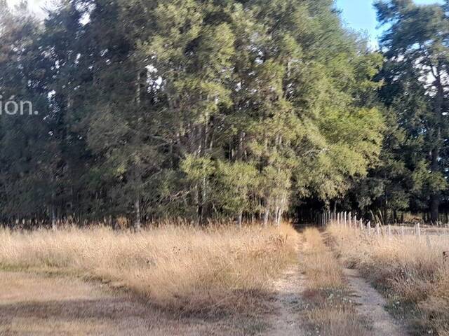 #3 - Parcela para Venta en Freire - IX - 2