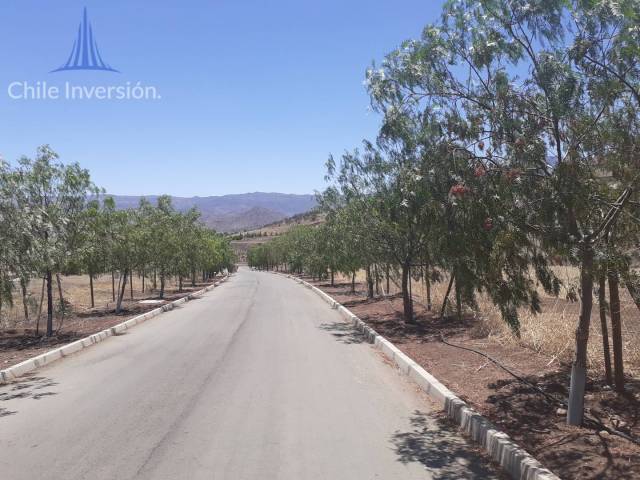 #83 - Terreno para Venta en Colina - XIII - 2