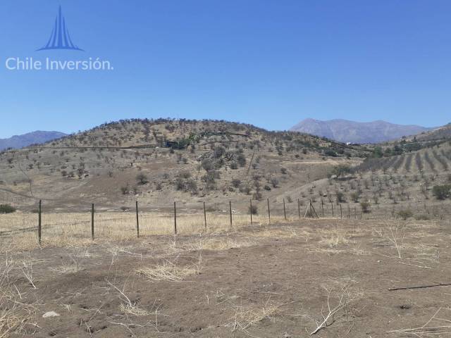 #83 - Terreno para Venta en Colina - XIII - 3